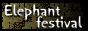 �A�W�A���G�݁yElephant festival�z
