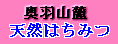 �p�ڗ{�I��